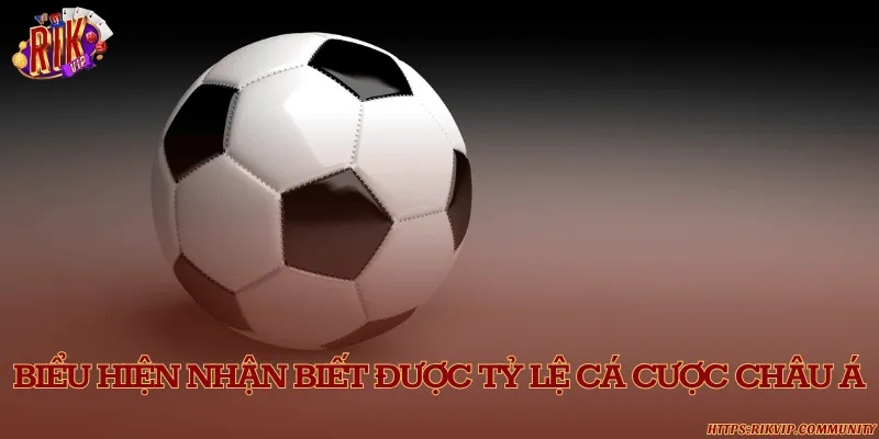 Dấu hiệu nhận biết kèo cược châu Á