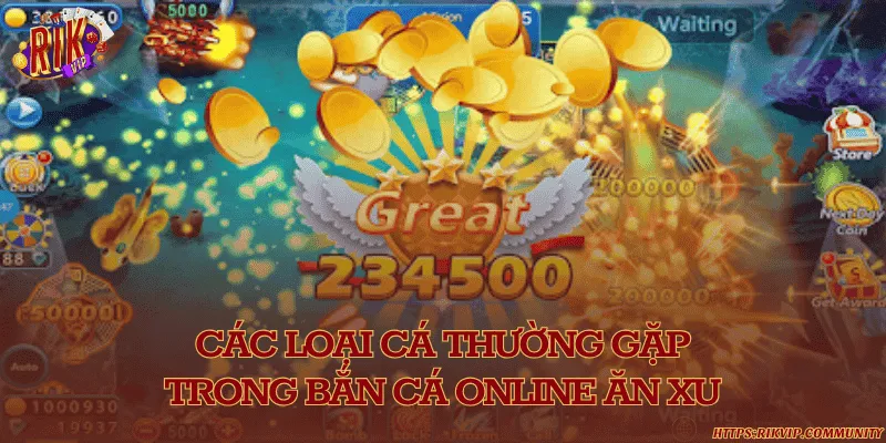 Các loại cá có điểm số xu cao 