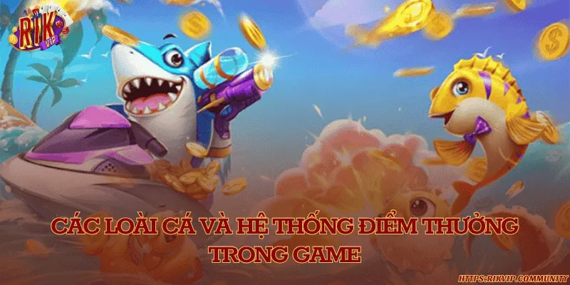 Các loài cá và hệ thống điểm thưởng trong game