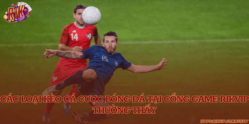 Tổng hợp các loại kèo bóng đá được ưa chuộng và phổ biến nhất hiện nay