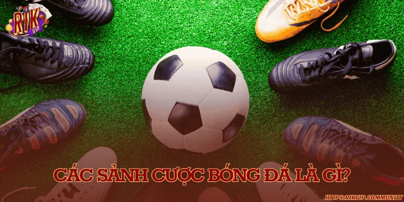 Các sảnh cược bóng đá phổ biến và uy tín hiện nay Các sảnh cược bóng đá là gì?