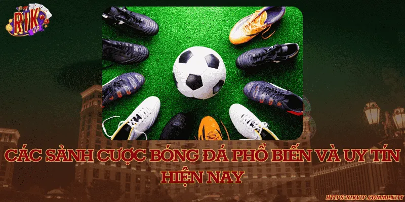 Các sảnh cược bóng đá phổ biến và uy tín hiện nay