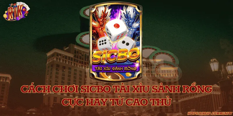 Cách chơi sicbo tài xỉu sảnh rồng cực hay từ cao thủ