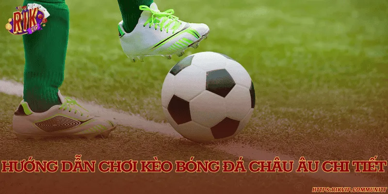 Hướng dẫn tham gia cược kèo bóng đá châu Âu dễ hiểu