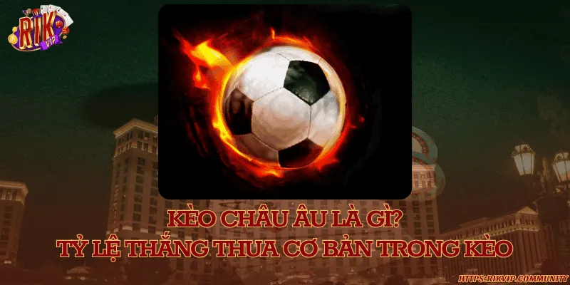 Kèo châu Âu là gì? Tỷ lệ thắng thua cơ bản trong kèo