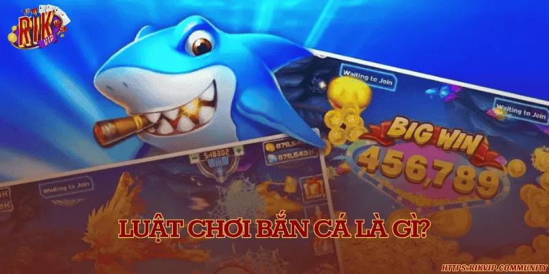 Luật chơi bắn cá là gì?