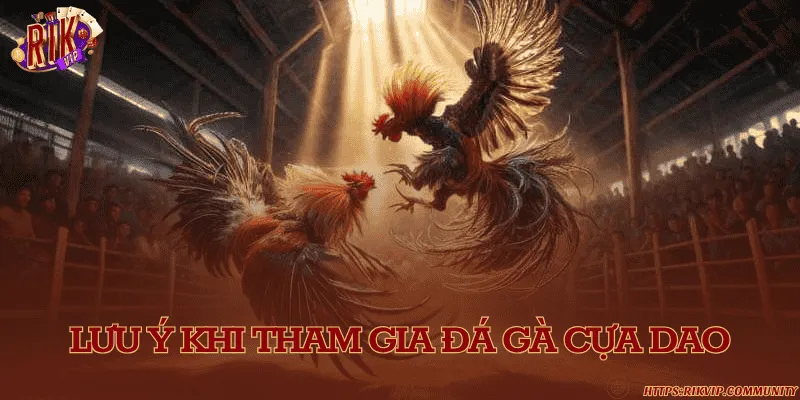 Lưu ý khi tham gia đá gà cựa dao