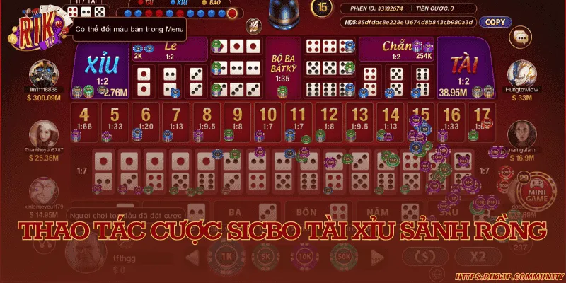 Các bước tham gia vào cược sicbo dễ dàng