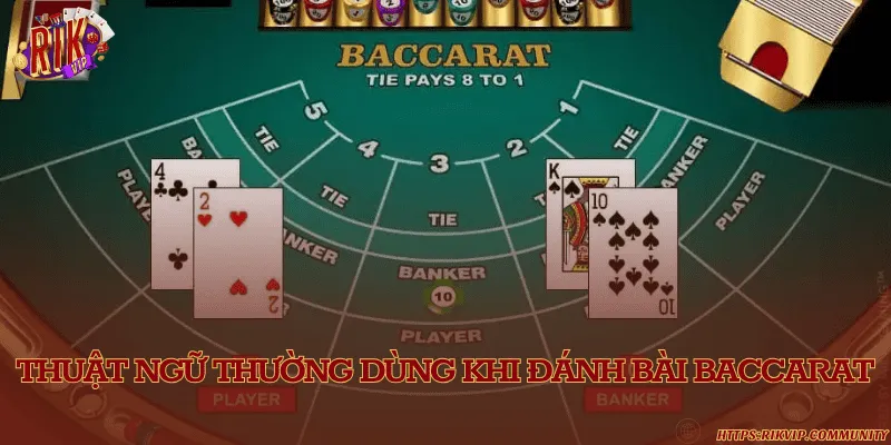 Baccarat Rikvip là gì? Khám phá những cửa cược thú vị Tóm tắt các thuật ngữ chuyên dùng trong bài Baccarat Rikvip