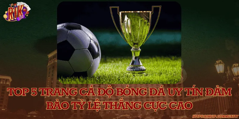 Top 5 trang cá độ bóng đá uy tín đảm bảo tỷ lệ thắng cực cao