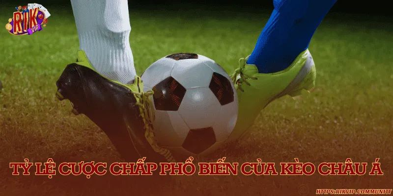 5+ kèo chấp Handicap phổ biến